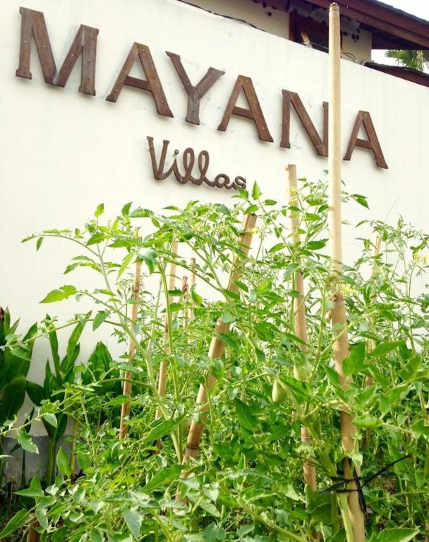 Mayana Villas
